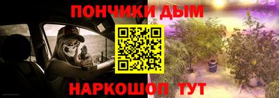 хмурый Бийск