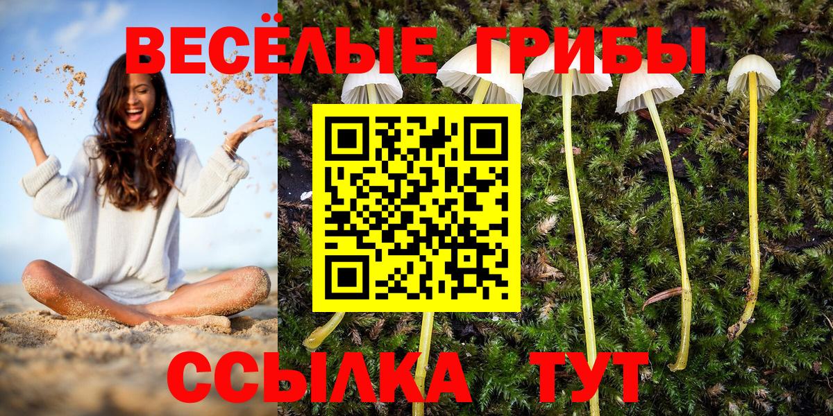 Кандалакша  Псилоцибиновые грибы ЛСД  Вход с VPN 