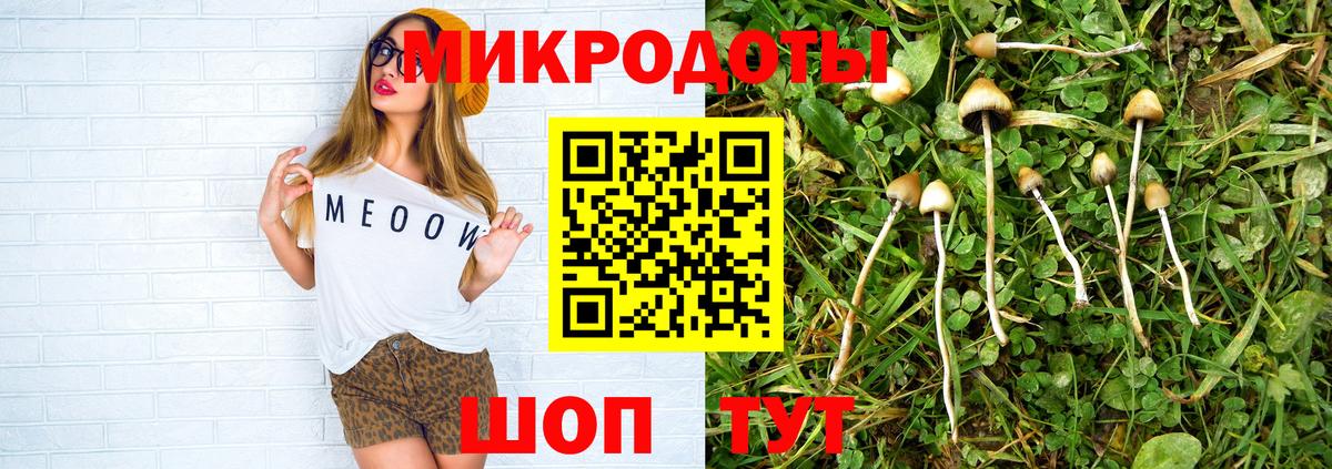 Галлюциногенные грибы прущие грибы Кандалакша